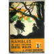 Rambles in and around South Wales